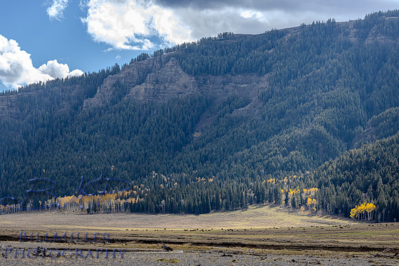 BMP_5757-HDR
