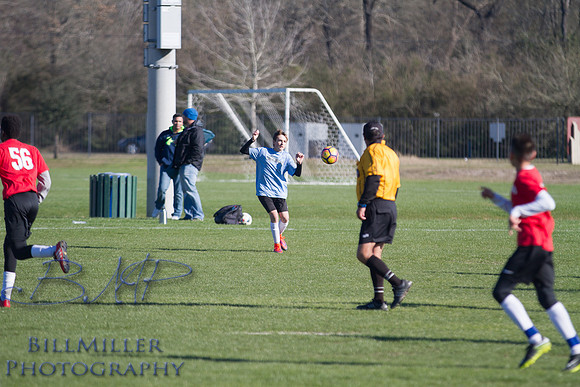 ArkvSTex1-BMP-4125