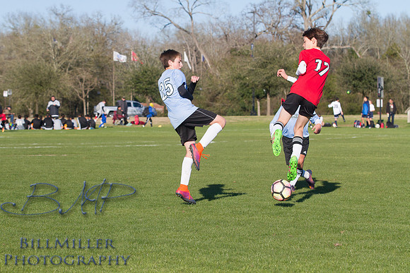 ArkvSTex1-BMP-4389