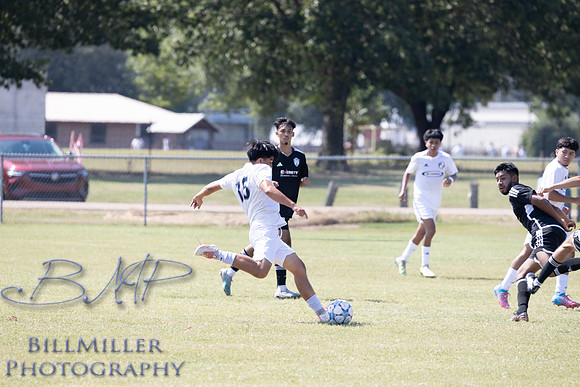 BMP_3596