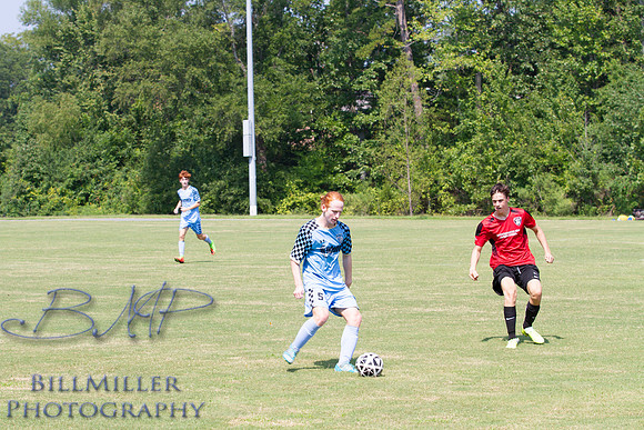_BMP6557