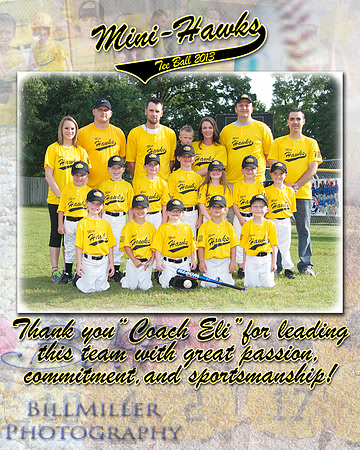 Coaching Plaques